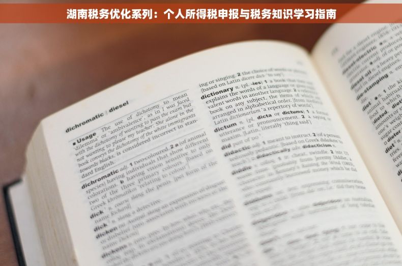 湖南税务优化系列：个人所得税申报与税务知识学习指南