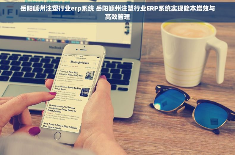 岳阳嵊州注塑行业erp系统 岳阳嵊州注塑行业ERP系统实现降本增效与高效管理