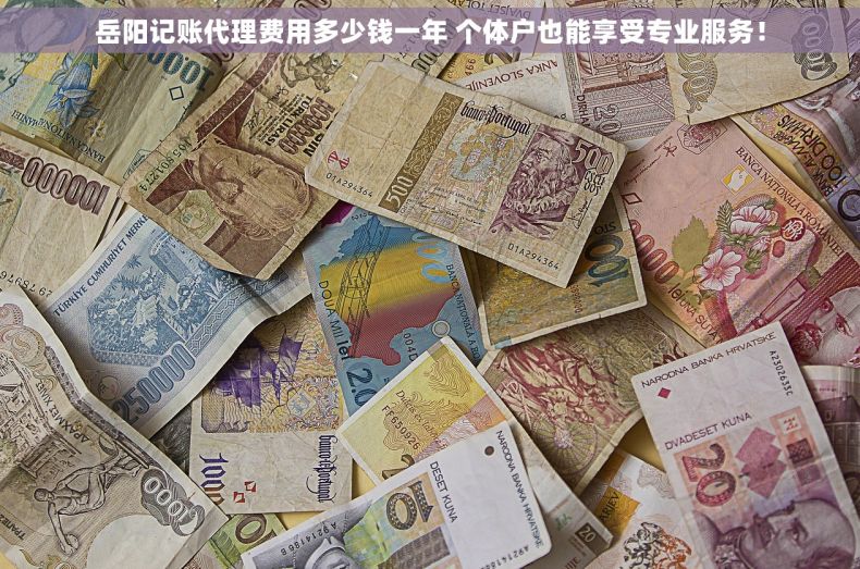 岳阳记账代理费用多少钱一年 个体户也能享受专业服务！