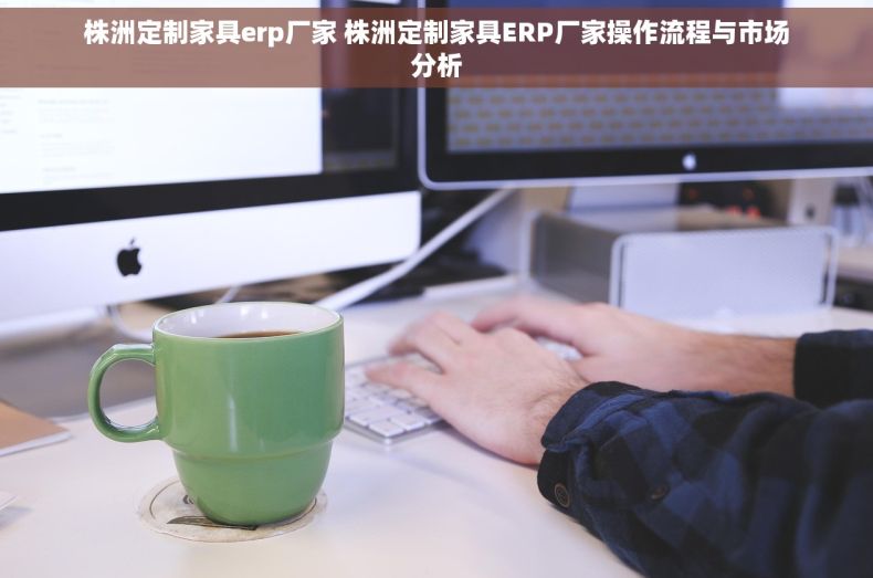 株洲定制家具erp厂家 株洲定制家具ERP厂家操作流程与市场分析