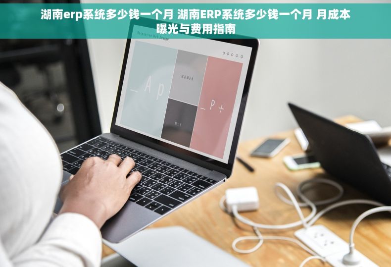 湖南erp系统多少钱一个月 湖南ERP系统多少钱一个月 月成本曝光与费用指南