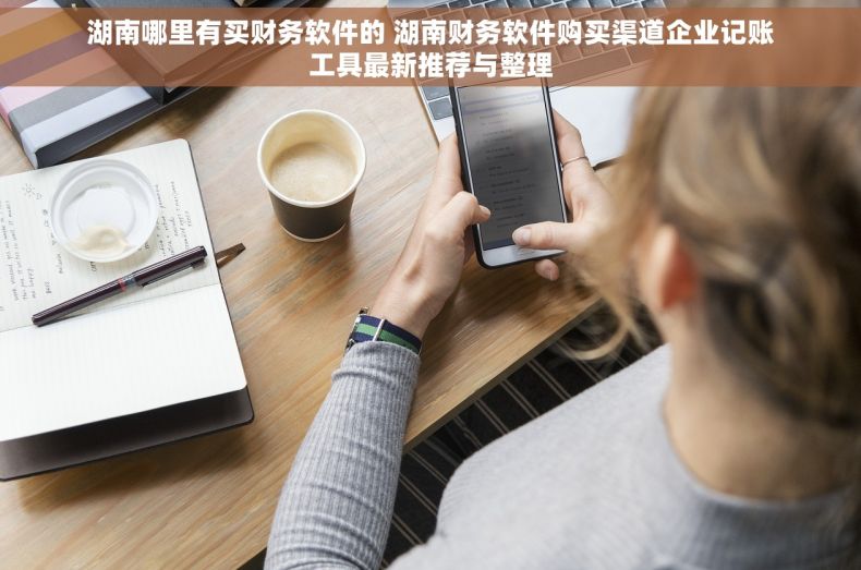 湖南哪里有买财务软件的 湖南财务软件购买渠道企业记账工具最新推荐与整理