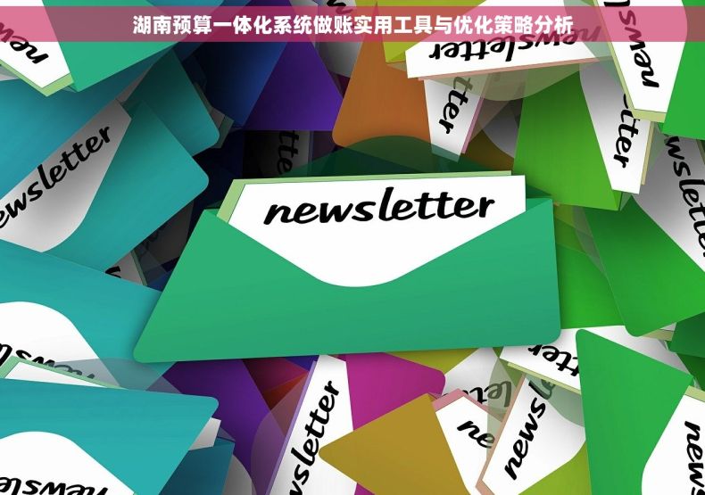 湖南预算一体化系统做账实用工具与优化策略分析
