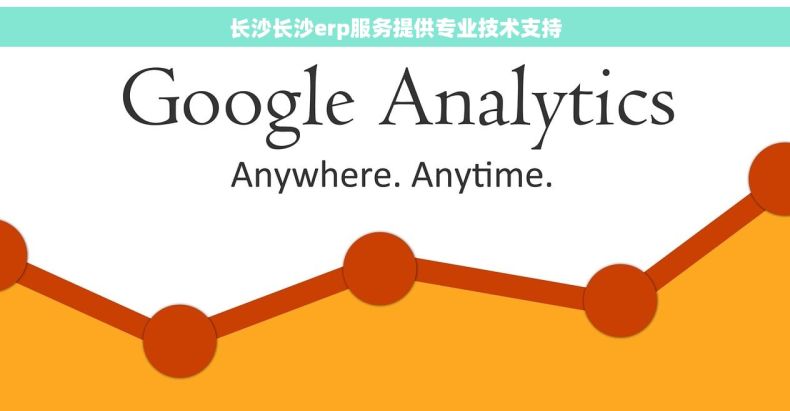 长沙长沙erp服务提供专业技术支持