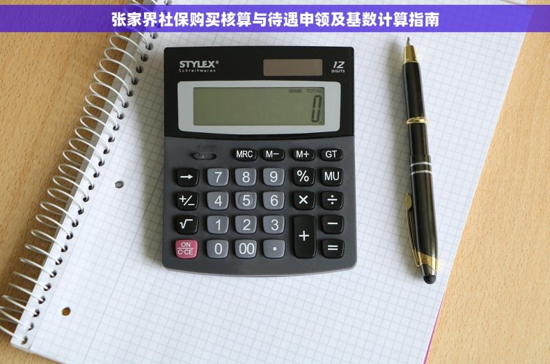 张家界社保购买核算与待遇申领及基数计算指南