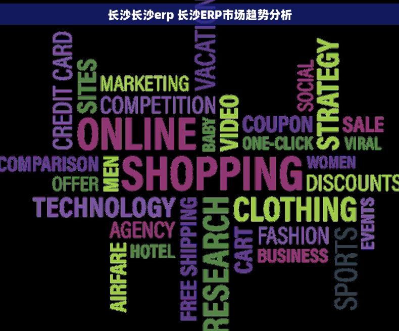 长沙长沙erp 长沙ERP市场趋势分析