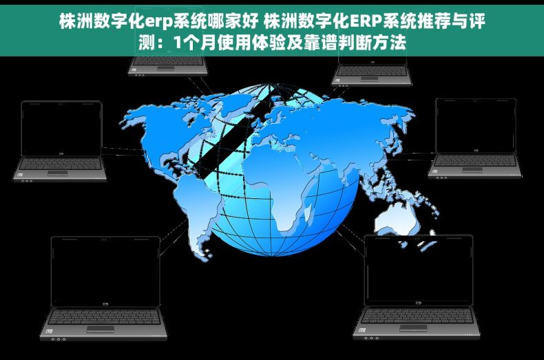 株洲数字化erp系统哪家好 株洲数字化ERP系统推荐与评测：1个月使用体验及靠谱判断方法
