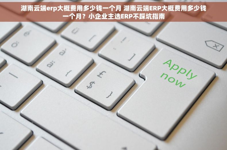 湖南云端erp大概费用多少钱一个月 湖南云端ERP大概费用多少钱一个月？小企业主选ERP不踩坑指南