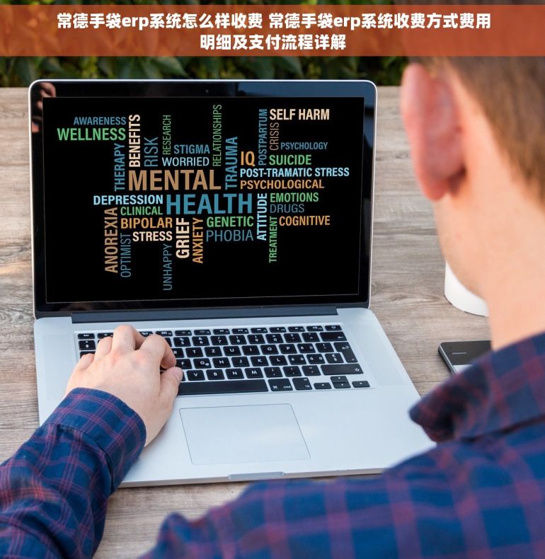 常德手袋erp系统怎么样收费 常德手袋erp系统收费方式费用明细及支付流程详解