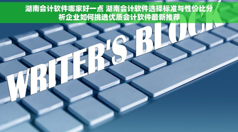 湖南会计软件哪家好一点 湖南会计软件选择标准与性价比分析企业如何挑选优质会计软件最新推荐