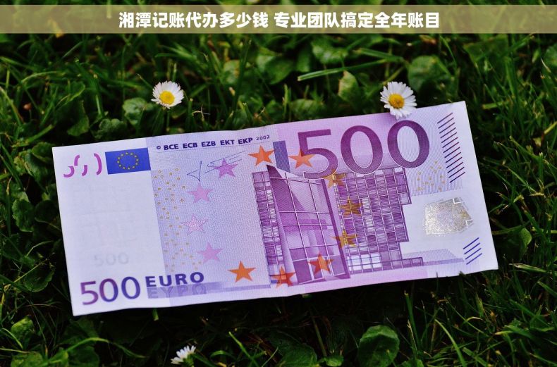 湘潭记账代办多少钱 专业团队搞定全年账目