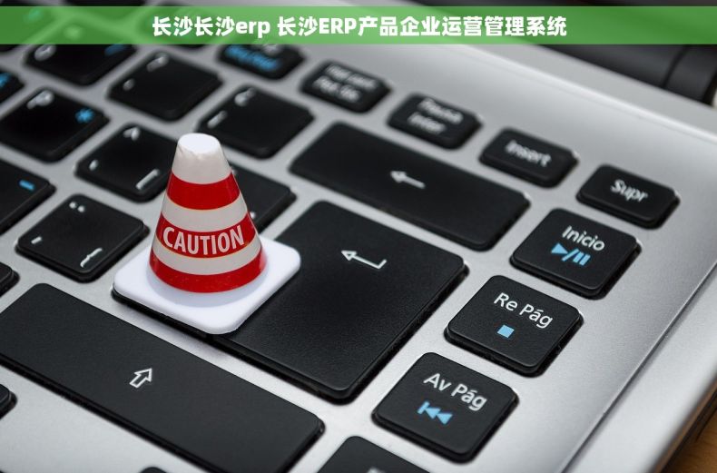 长沙长沙erp 长沙ERP产品企业运营管理系统