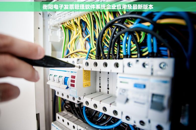 衡阳电子发票管理软件系统企业应用及最新版本