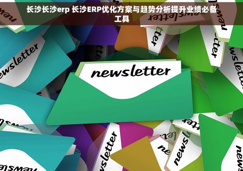 长沙长沙erp 长沙ERP优化方案与趋势分析提升业绩必备工具