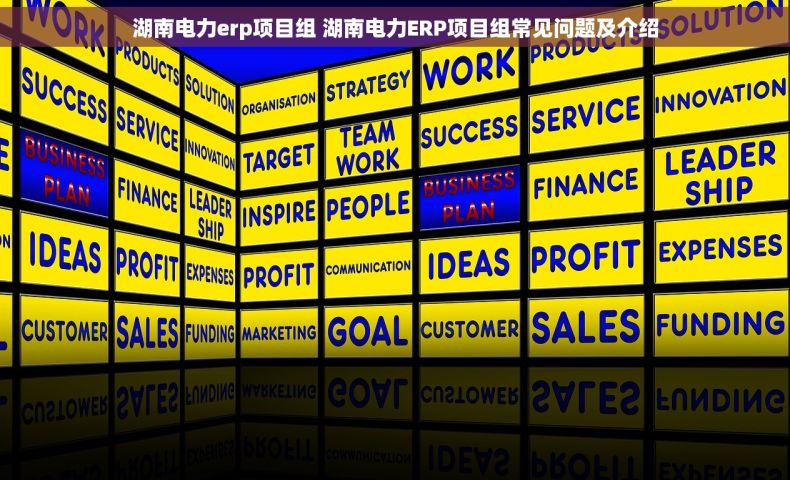 湖南电力erp项目组 湖南电力ERP项目组常见问题及介绍