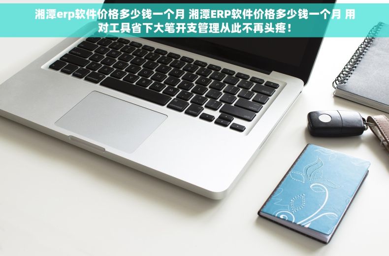 湘潭erp软件价格多少钱一个月 湘潭ERP软件价格多少钱一个月 用对工具省下大笔开支管理从此不再头疼！