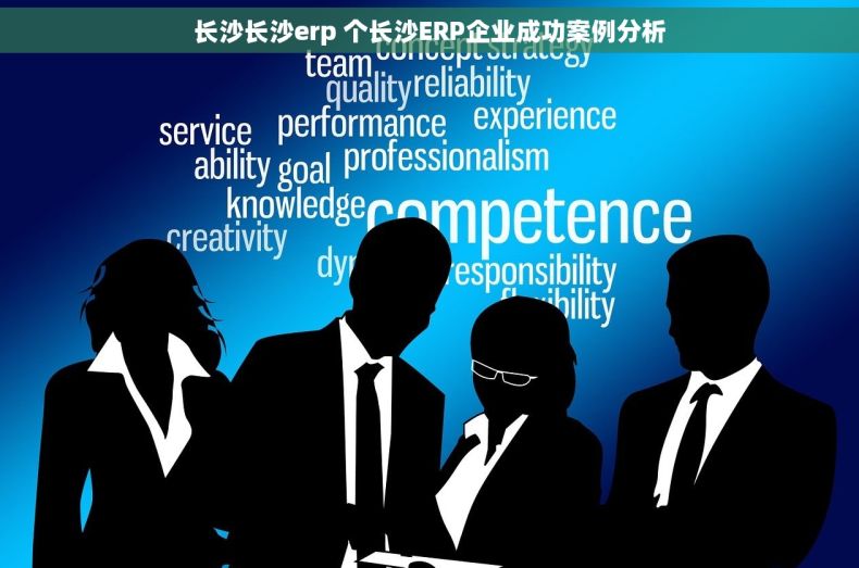 长沙长沙erp 个长沙ERP企业成功案例分析