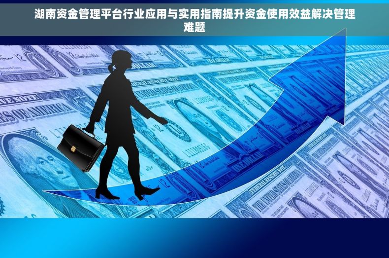 湖南资金管理平台行业应用与实用指南提升资金使用效益解决管理难题