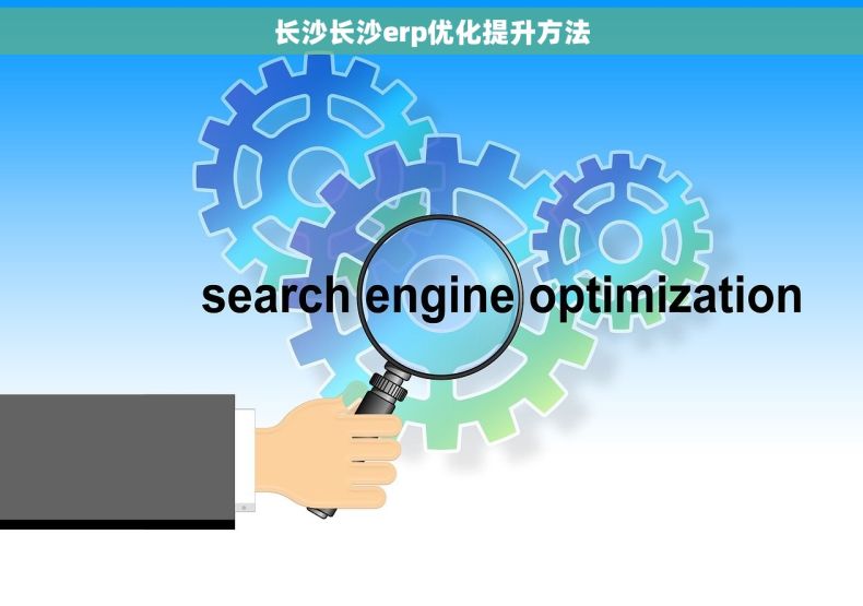 长沙长沙erp优化提升方法