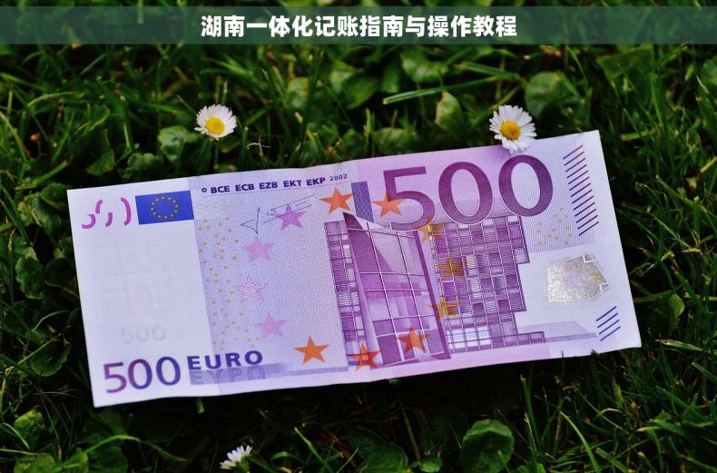 湖南一体化记账指南与操作教程