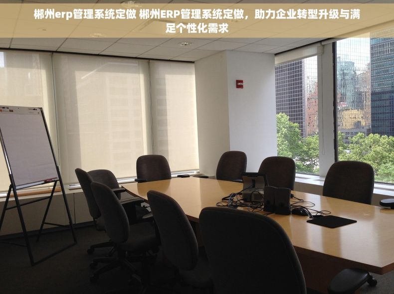 郴州erp管理系统定做 郴州ERP管理系统定做，助力企业转型升级与满足个性化需求