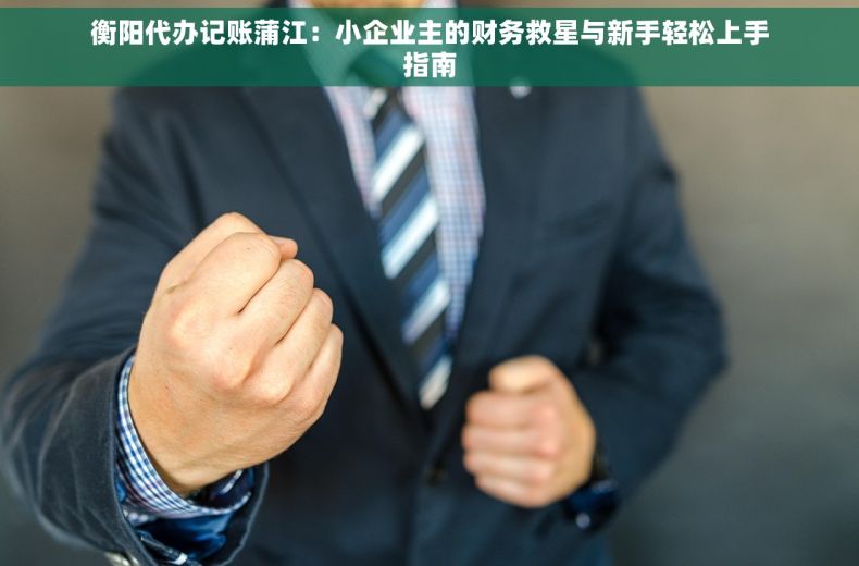 衡阳代办记账蒲江：小企业主的财务救星与新手轻松上手指南