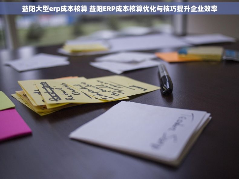 益阳大型erp成本核算 益阳ERP成本核算优化与技巧提升企业效率