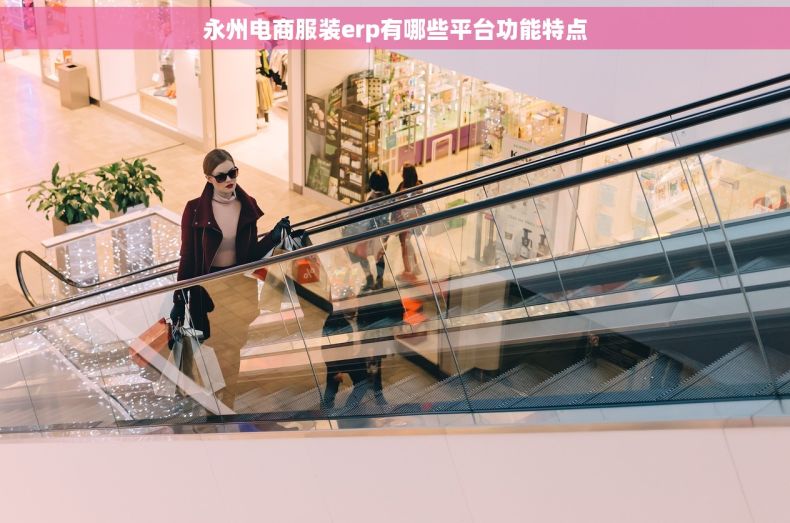 永州电商服装erp有哪些平台功能特点