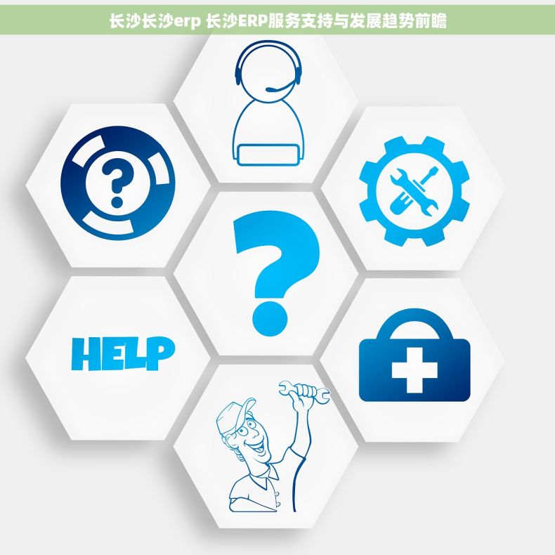 长沙长沙erp 长沙ERP服务支持与发展趋势前瞻