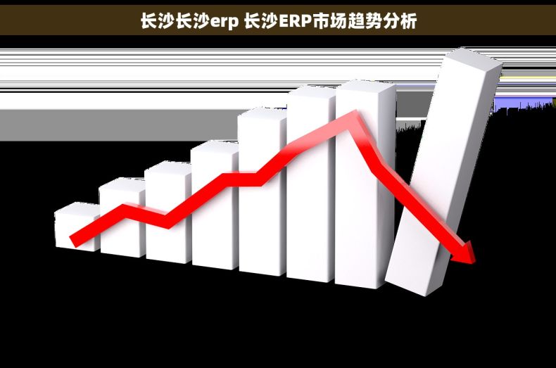 长沙长沙erp 长沙ERP市场趋势分析