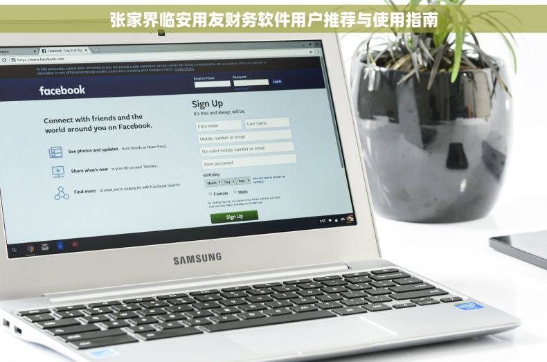 张家界临安用友财务软件用户推荐与使用指南