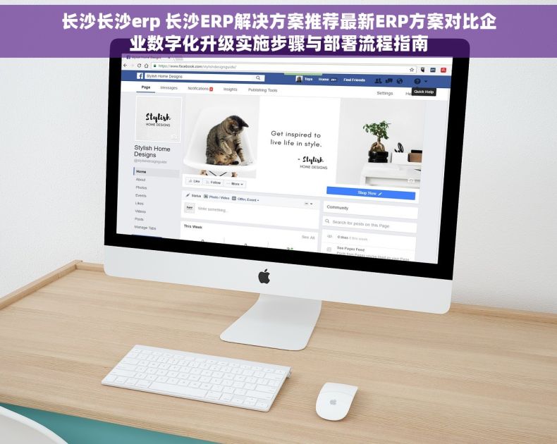 长沙长沙erp 长沙ERP解决方案推荐最新ERP方案对比企业数字化升级实施步骤与部署流程指南