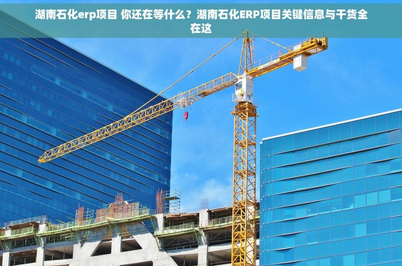 湖南石化erp项目 你还在等什么？湖南石化ERP项目关键信息与干货全在这