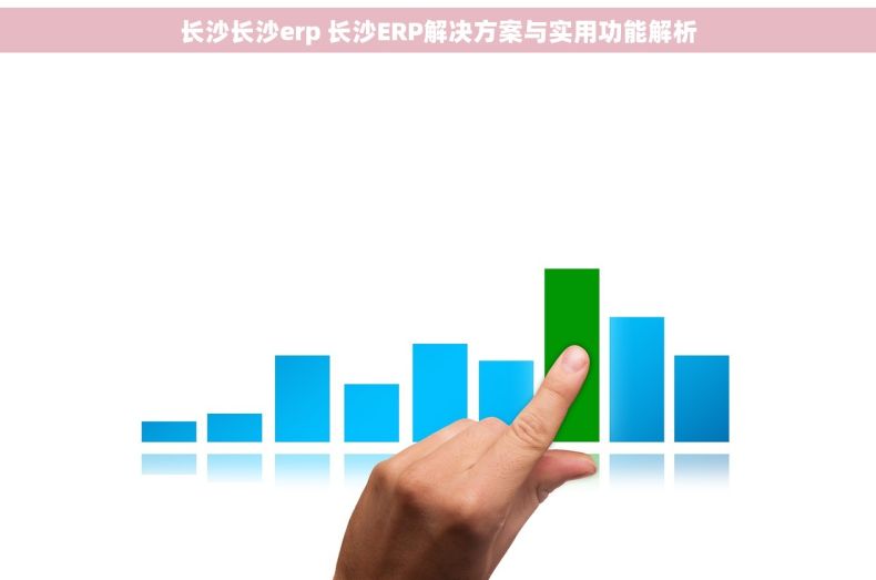 长沙长沙erp 长沙ERP解决方案与实用功能解析