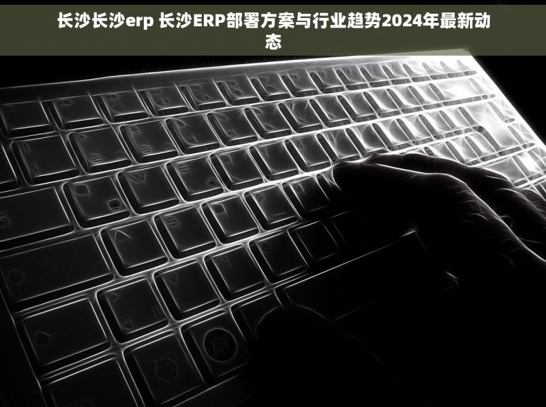 长沙长沙erp 长沙ERP部署方案与行业趋势2024年最新动态