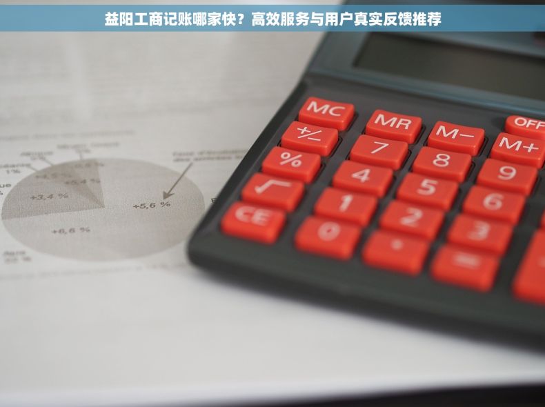 益阳工商记账哪家快？高效服务与用户真实反馈推荐