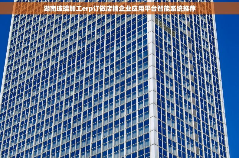 湖南玻璃加工erp订做店铺企业应用平台智能系统推荐