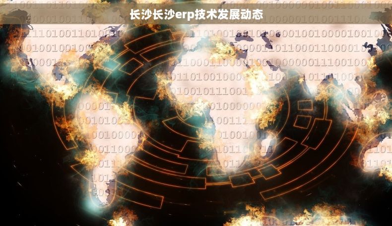 长沙长沙erp技术发展动态