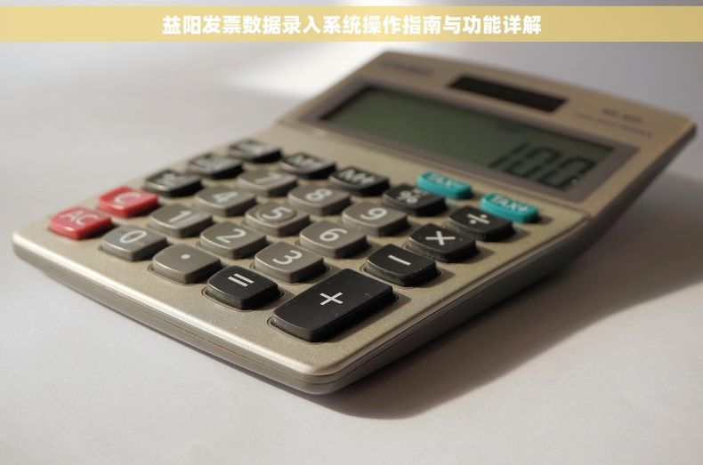 益阳发票数据录入系统操作指南与功能详解