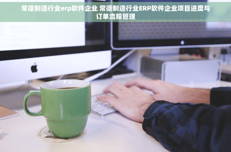 常德制造行业erp软件企业 常德制造行业ERP软件企业项目进度与订单流程管理