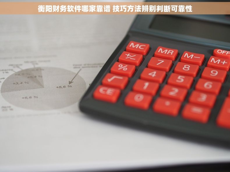 衡阳财务软件哪家靠谱 技巧方法辨别判断可靠性