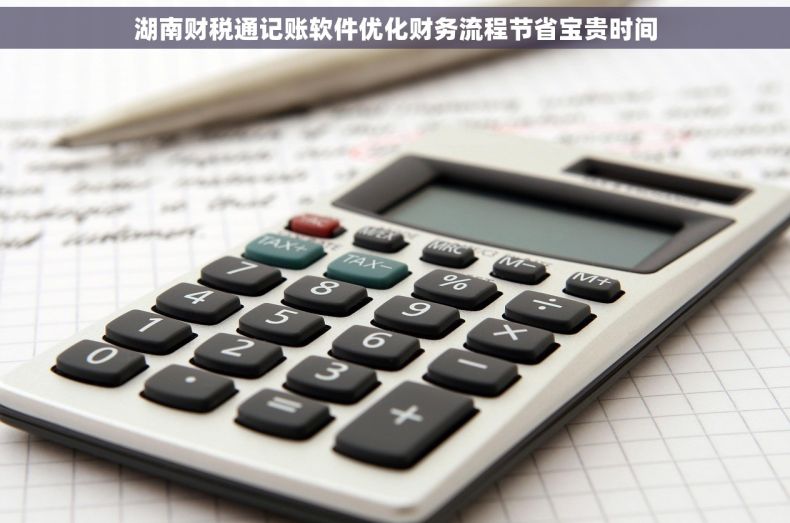 湖南财税通记账软件优化财务流程节省宝贵时间
