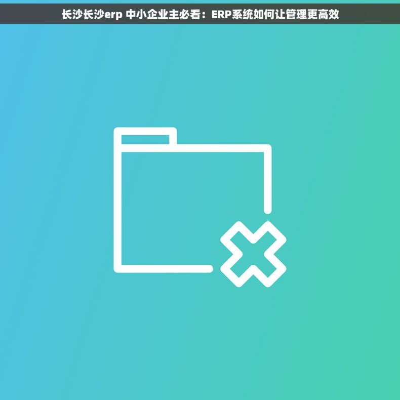 长沙长沙erp 中小企业主必看：ERP系统如何让管理更高效