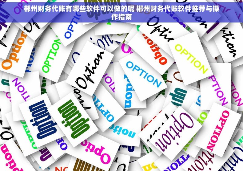 郴州财务代账有哪些软件可以做的呢 郴州财务代账软件推荐与操作指南