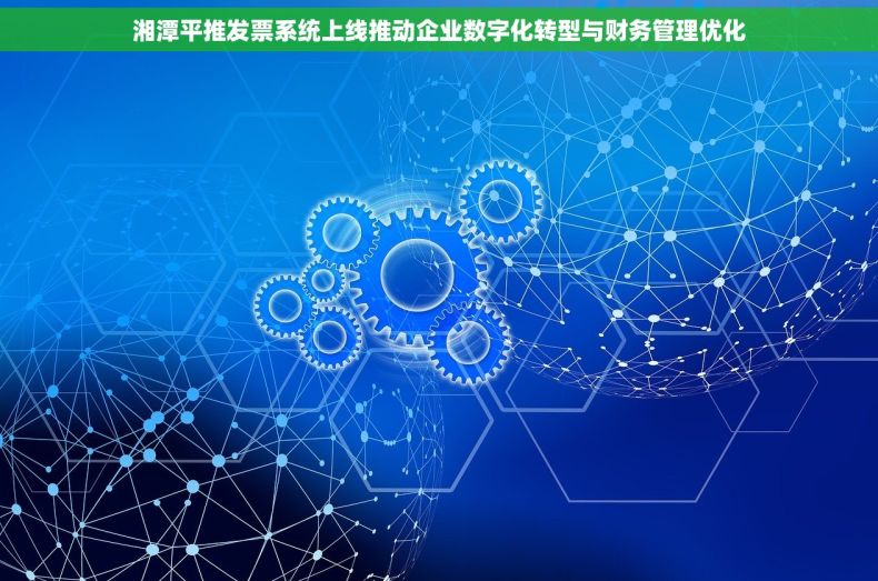 湘潭平推发票系统上线推动企业数字化转型与财务管理优化