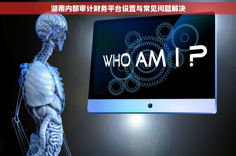 湖南内部审计财务平台设置与常见问题解决