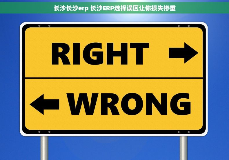 长沙长沙erp 长沙ERP选择误区让你损失惨重