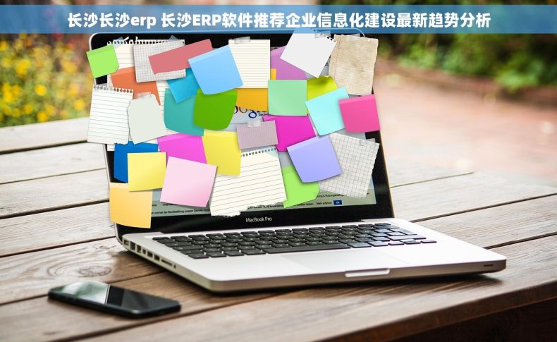 长沙长沙erp 长沙ERP软件推荐企业信息化建设最新趋势分析