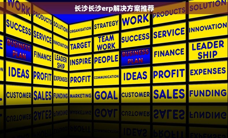 长沙长沙erp解决方案推荐