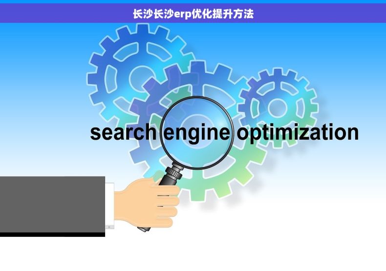 长沙长沙erp优化提升方法